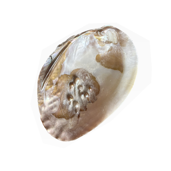 Product image thumbnail